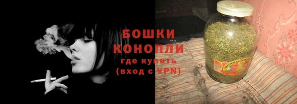 сатива Алагир