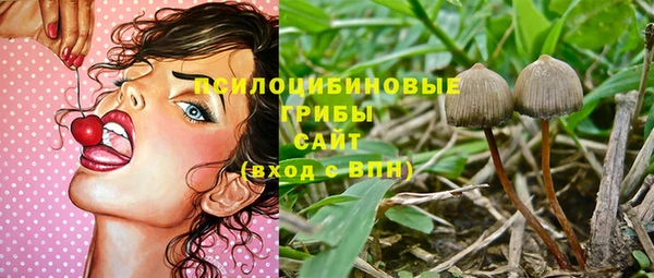 соль ск Володарск
