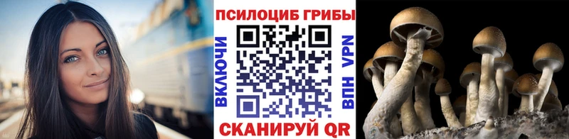 Псилоцибиновые грибы мицелий  наркотики  Ворсма 